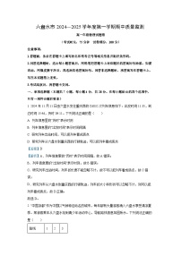 2024-2025学年贵州省六盘水市高一(上)11月期中物理试卷（解析版）