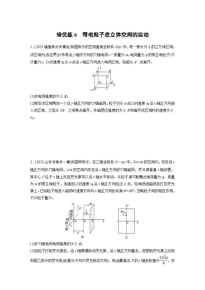 第一篇 专题三 培优练6 带电粒子在立体空间的运动(专练)第1页
