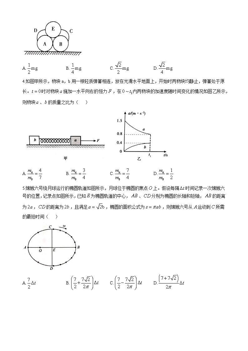 山东省泰安市2024-2025学年高三上学期11月期中考试物理02