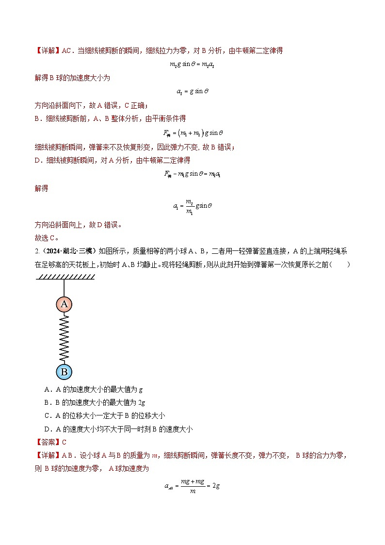第10讲 牛顿运动定律的综合应用(一)(练习)(解析版)-2025年高考物理一轮复习讲练测(新教材新高考)第2页