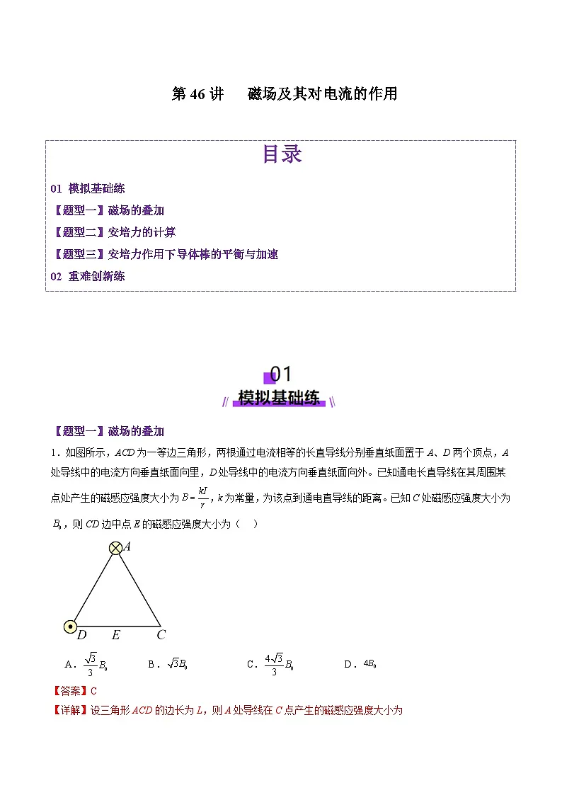 第46讲 磁场及其对电流的作用(练习)(解析版)-2025年高考物理一轮复习讲练测第1页