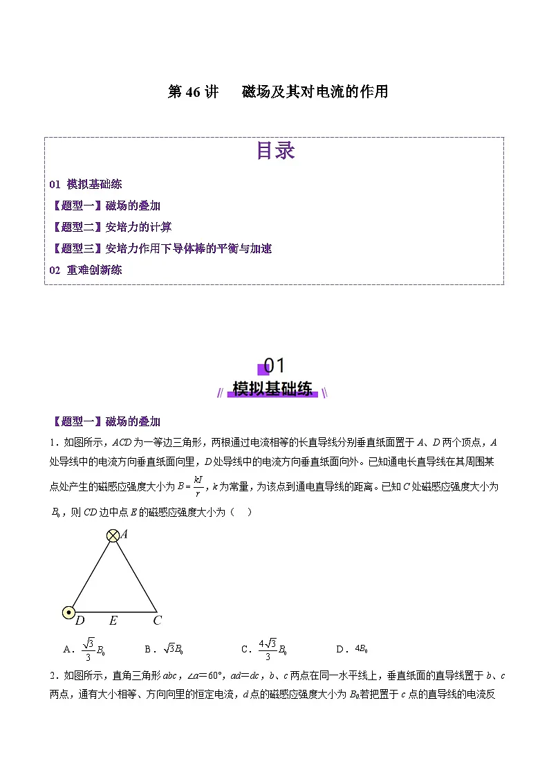 第46讲 磁场及其对电流的作用(练习)(原卷版)-2025年高考物理一轮复习讲练测(新教材新高考)第1页