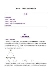 第46讲 磁场及其对电流的作用(练习)(原卷版)-2025年高考物理一轮复习讲练测(新教材新高考)