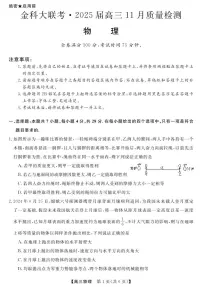 2025届河南金科大联考高三11月质检物理试题（含答案）