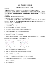 河北省邯郸市2024-2025学年高一上学期11月期中考试物理试卷（Word版附解析）