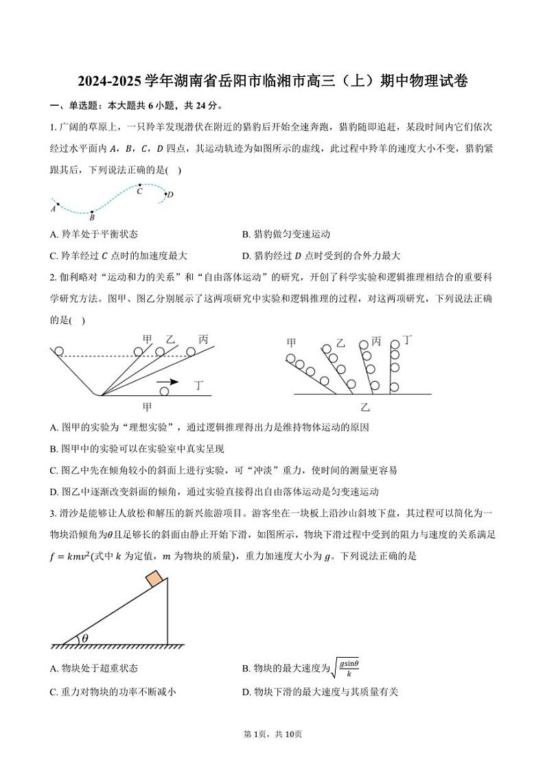 2024~2025学年湖南省岳阳市临湘市高三(上)期中物理试卷(含答案)01