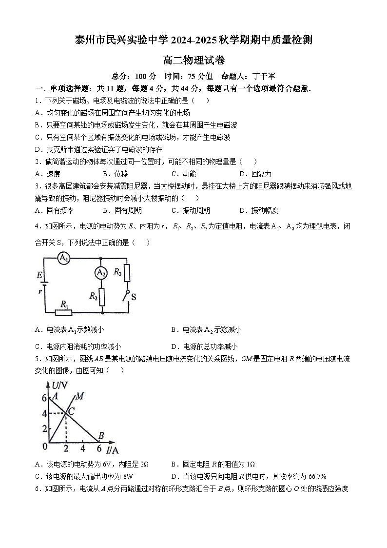 江苏省泰州市民兴实验中学2024-2025学年高二上学期期中考试物理试题(无答案)第1页