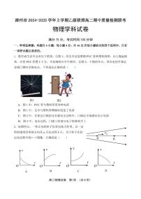 福建省漳州市乙级校联盟2024-2025学年高二上学期期中考试物理试题
