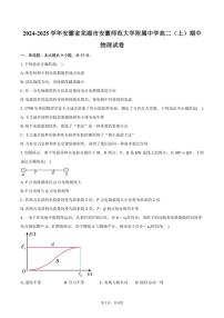 2024～2025学年安徽省芜湖市安徽师范大学附属中学高二(上)期中物理试卷(含答案)