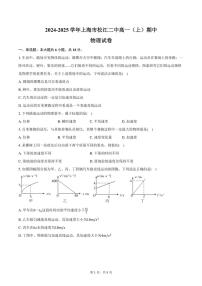 2024～2025学年上海市松江二中高一(上)期中物理试卷(含答案)