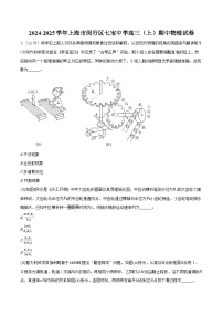 2024-2025学年上海市闵行区七宝中学高三（上）期中物理试卷（含答案）