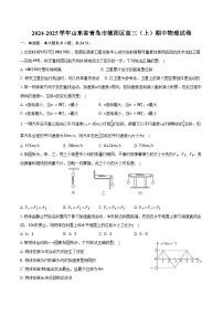 2024-2025学年山东省青岛市城阳区高三（上）期中物理试卷（含答案）