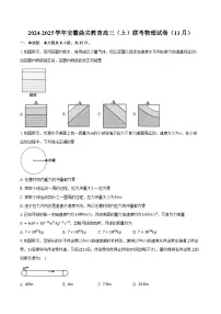 2024-2025学年安徽鼎尖教育高三（上）联考物理试卷（11月）（含答案）