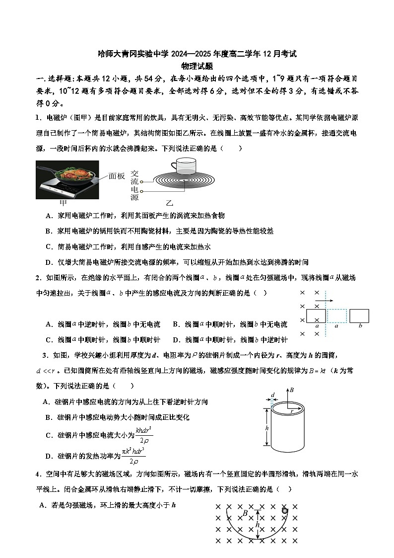 黑龙江省绥化市哈尔滨师范大学青冈实验中学2024-2025学年高二上学期12月考试物理试题第1页