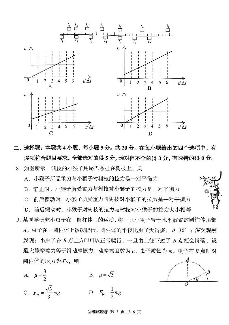 湖南省衡阳市2023_2024学年高一物理上学期11月期中联考试题pdf第3页