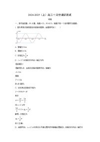 2024~2025学年江苏省南通市高二(上)10月调研测试物理试卷(解析版)