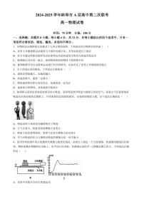 安徽省蚌埠市A层高中2024～2025学年高一(上)期中物理试卷(含)
