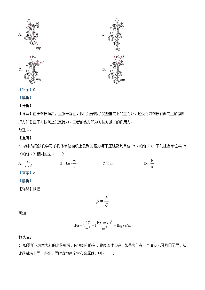 江苏省扬州市高邮市2024-2025学年高一上学期11月期中物理试题含解析第3页