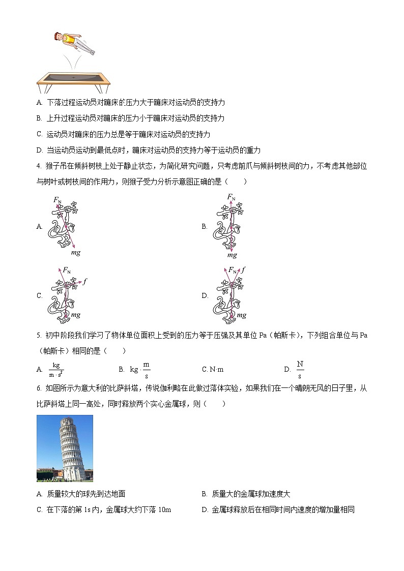 江苏省扬州市高邮市2024-2025学年高一上学期11月期中物理试题无答案第2页