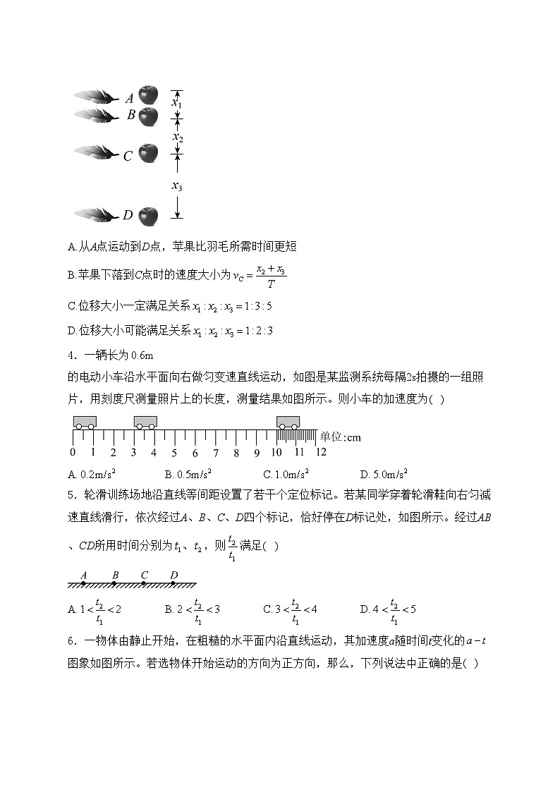 山东省东营市多校2024-2025学年高一上学期期中考试物理试卷(含答案)第2页