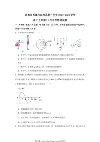 2024～2025学年湖南省常德市汉寿县第一中学高二(上)11月月考物理试卷(含答案)