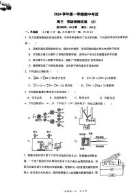 上海市嘉定区第一中学2024-2025学年高三上学期期中物理试卷（A）
