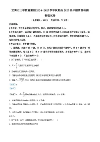 四川省宜宾市第三中学2024-2025学年高二上学期期中考试物理试题（Word版附解析）