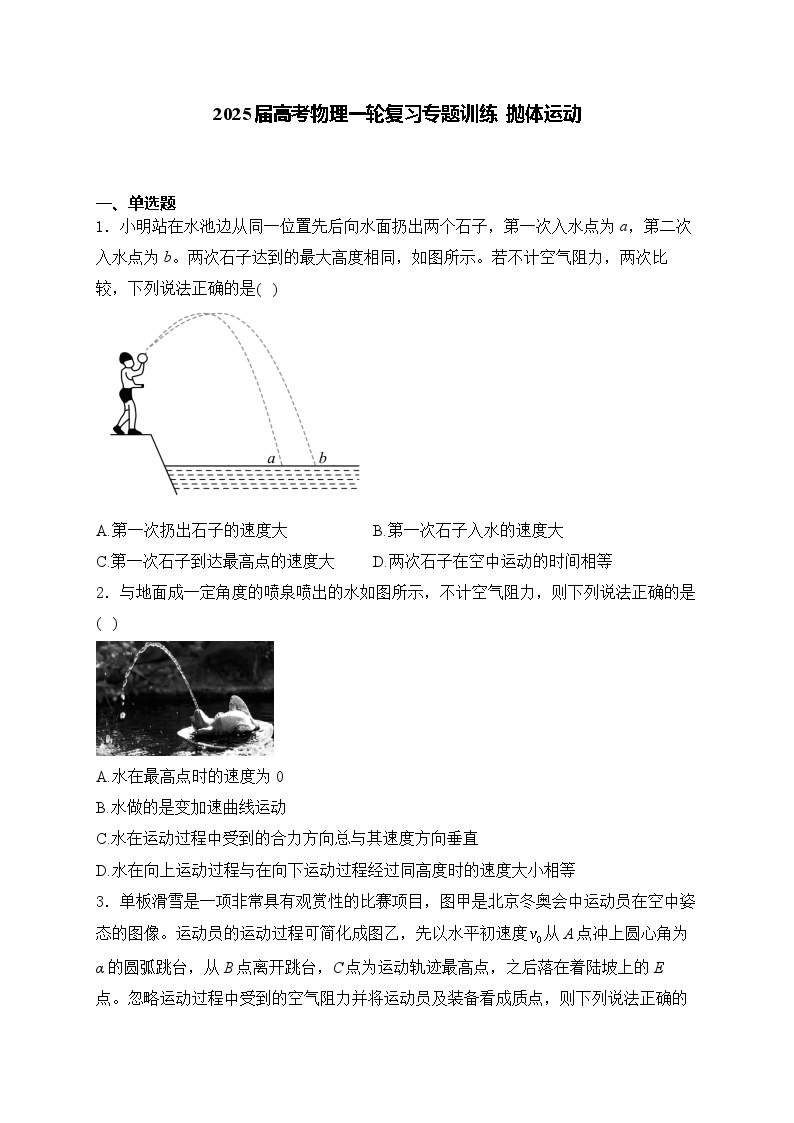 2025届高考物理一轮复习专题训练   抛体运动