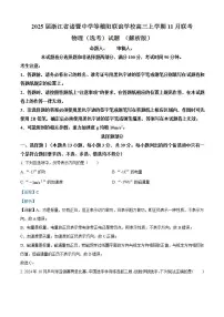 2025届浙江省诸暨中学等稽阳联谊学校高三上学期11月联考物理（选考）试题 （解析版）