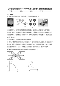 辽宁省沈阳市五校2024-2025学年高二上学期11月期中联考物理试卷(含答案)