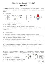 四川省攀枝花市第三高级中学2024-2025学年高二上学期期中考试物理试题