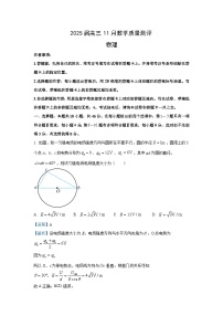 2025届湖北华大新高考联盟高三(上)11月教学质量测评物理试卷(解析版)
