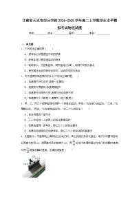 甘肃省天水市部分学校2024-2025学年高二上学期学业水平模拟考试物理试题