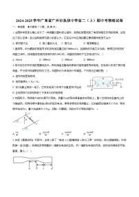 2024-2025学年广东省广州市执信中学高二（上）期中考物理试卷（含答案）