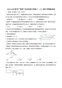 2024-2025学年广东省广州市执信中学高二（上）期中考物理试卷（含答案）