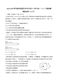 2024-2025学年湖北省武汉市华中师大一附中高三（上）月度检测物理试卷（11月）（含答案）