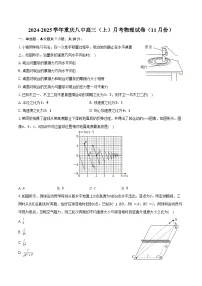 2024-2025学年重庆八中高三(上)月考物理试卷(11月份)(含答案)