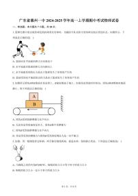 广东省惠州一中2024-2025学年高一上学期期中考试物理试卷（含答案）