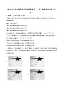 2024-2025學(xué)年湖北省云學(xué)名校聯(lián)盟高三（上）物理聯(lián)考試卷（12月）(含答案）