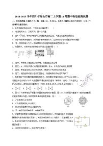2024-2025学年四川省眉山市高二上学期11月期中物理检测试题