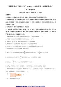 2024～2025学年河南省驻马店市环际大联考(月考)“逐梦计划”高二(上)期中物理试卷(含答案)