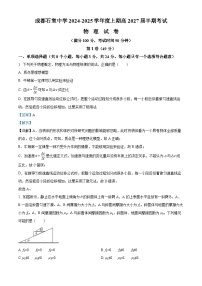 四川省成都市石室中学2024-2025学年高一上学期12月期中物理试卷（Word版附解析）