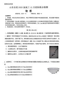 物理丨山東省名校聯(lián)考2025屆高三12月校級聯(lián)合檢測物理試卷及答案