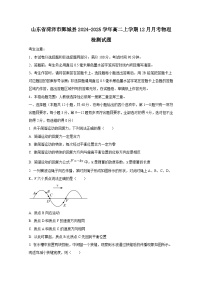 山东省菏泽市鄄城县2024-2025学年高二上学期12月月考物理检测试题（附答案）