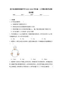 四川省成都市树德中学2023-2024学年高一上学期期中考试物理试题