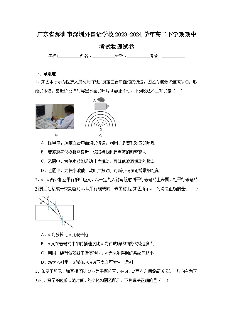 广东省深圳市深圳外国语学校2023-2024学年高二下学期期中考试物理试卷