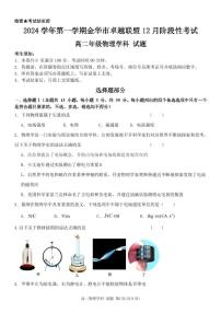 浙江省金华市卓越联盟2024-2025学年高二上学期12月阶段性联考物理试卷（PDF版附答案）