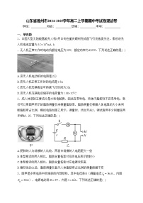 山東省德州市2024-2025學(xué)年高二上學(xué)期期中考試物理試卷(含答案)