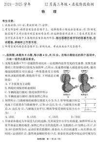 2025届安徽高三12月联考物理试题（含答案）