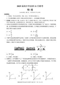 2024年广西新课程教研联盟高三11月联考 物理试题（含答案）